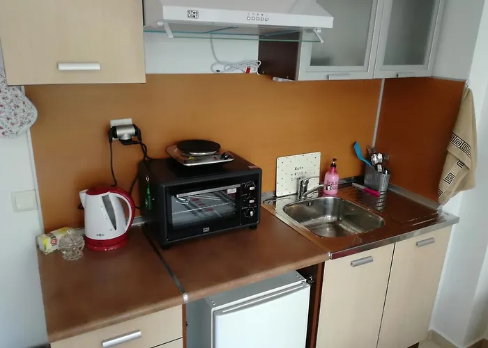 Like Guest 소피아